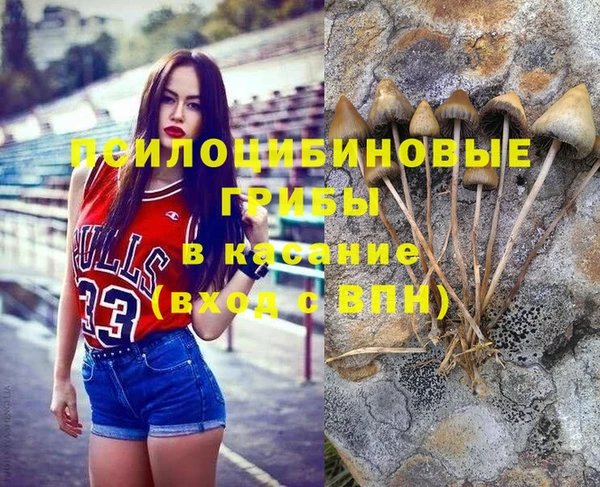 МДМА Новодвинск