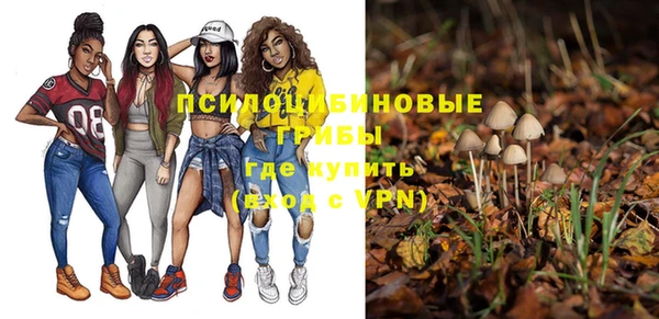 прущие крисы Новокубанск