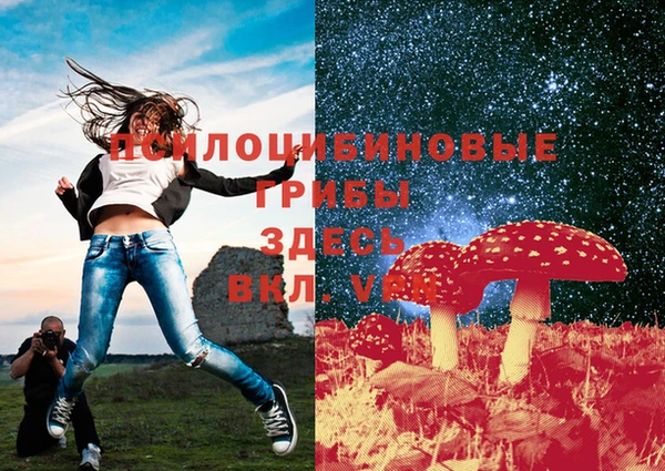 МДМА Новодвинск
