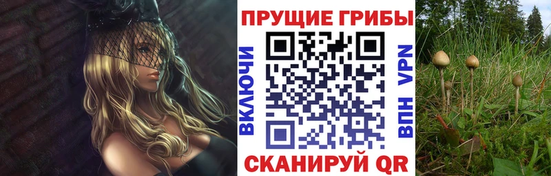 продажа наркотиков  Нижнеудинск  Галлюциногенные грибы Magic Shrooms 