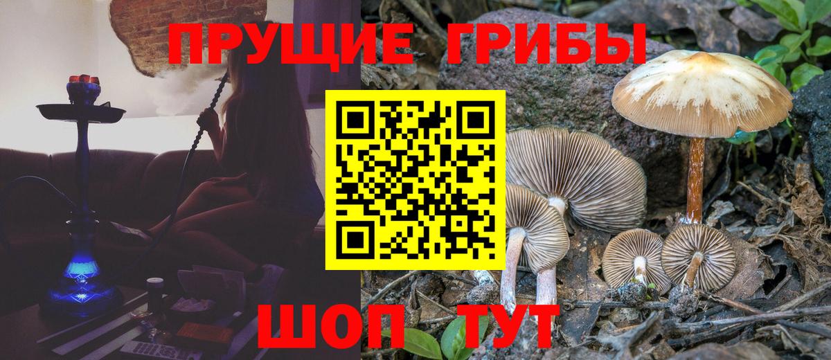 Галлюциногенные грибы мухоморы  Псилоцибиновые грибы Cubensis  Вход с VPN  Нижнеудинск 