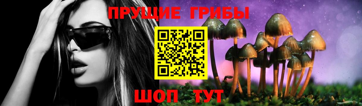 Псилоцибиновые грибы MAGIC MUSHROOMS  Нижнеудинск  где можно купить   Псилоцибиновые грибы ЛСД 